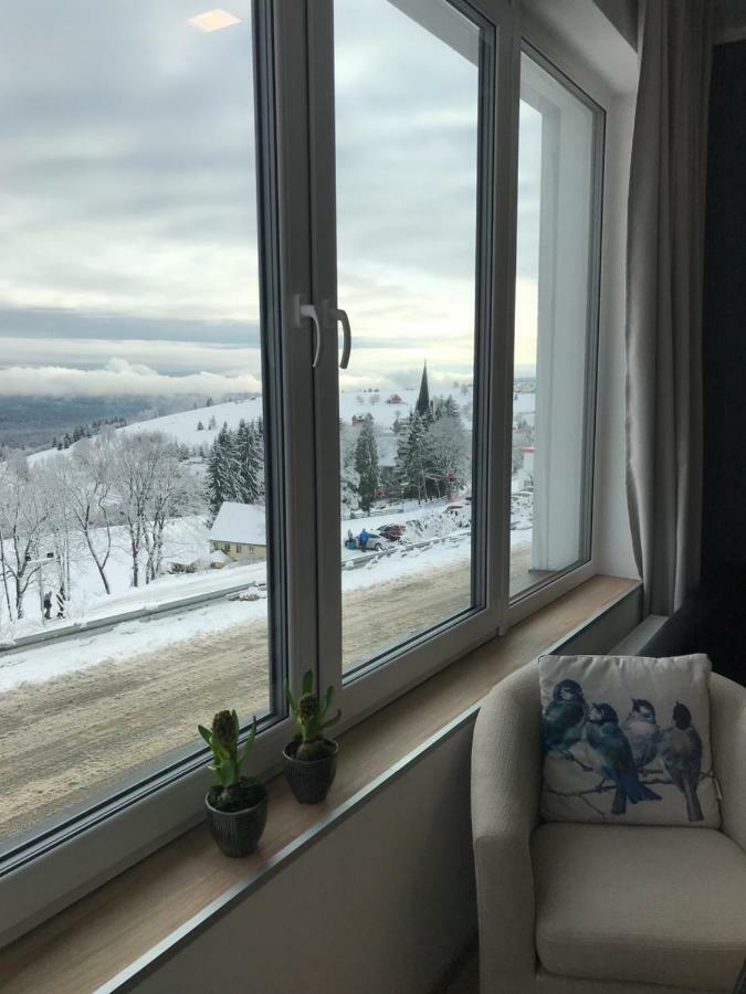 Apartamenty Zieleniec 두슈니키 즈드로지 외부 사진